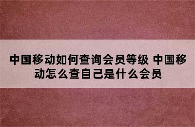 中国移动如何查询会员等级 中国移动怎么查自己是什么会员